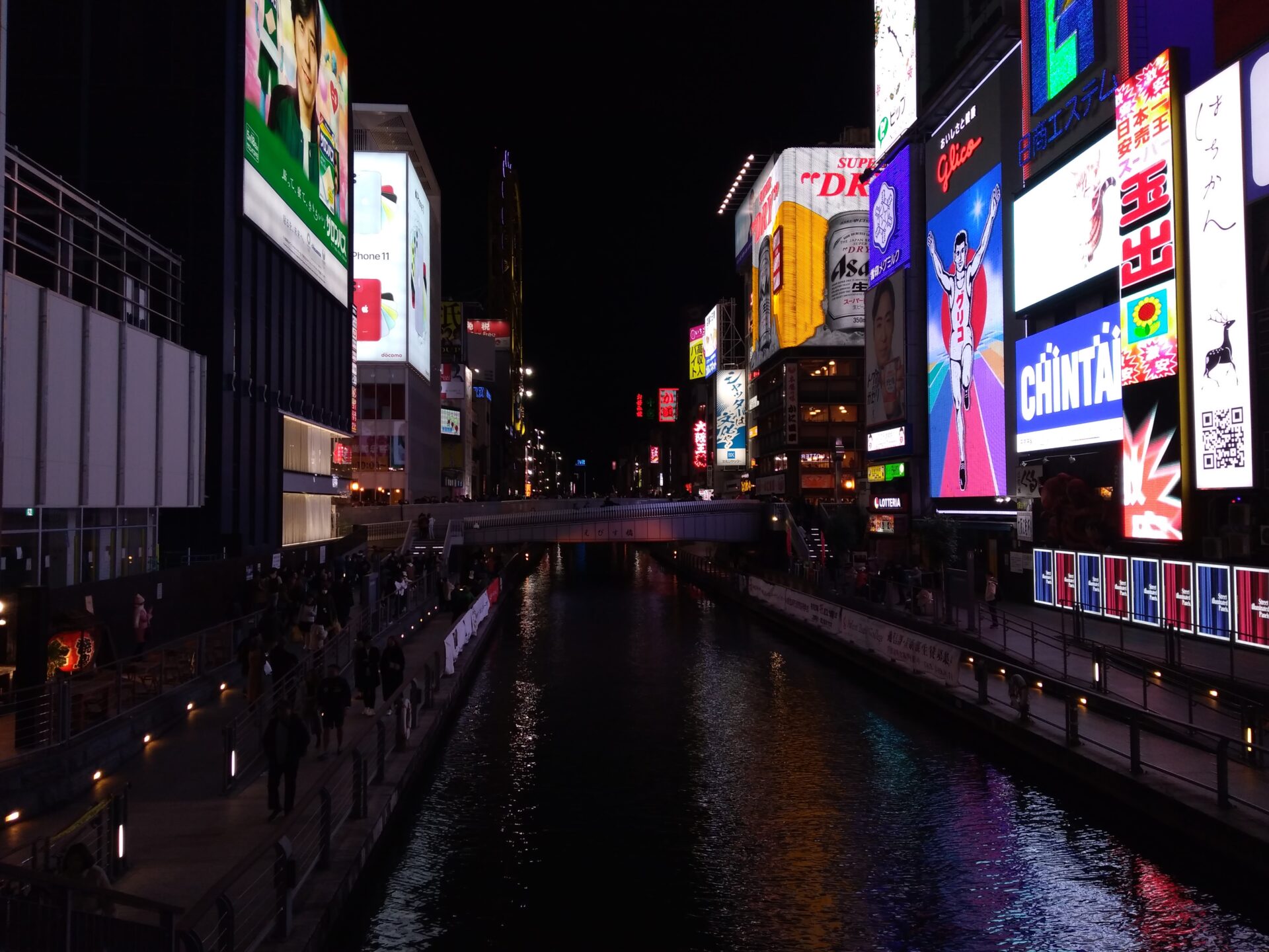 大阪で越冬