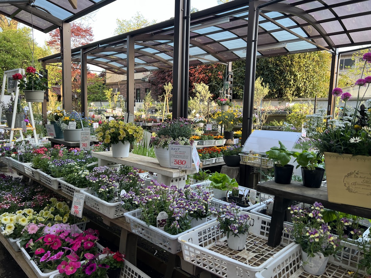 おすすめの植物・園芸店『渋谷園芸』編