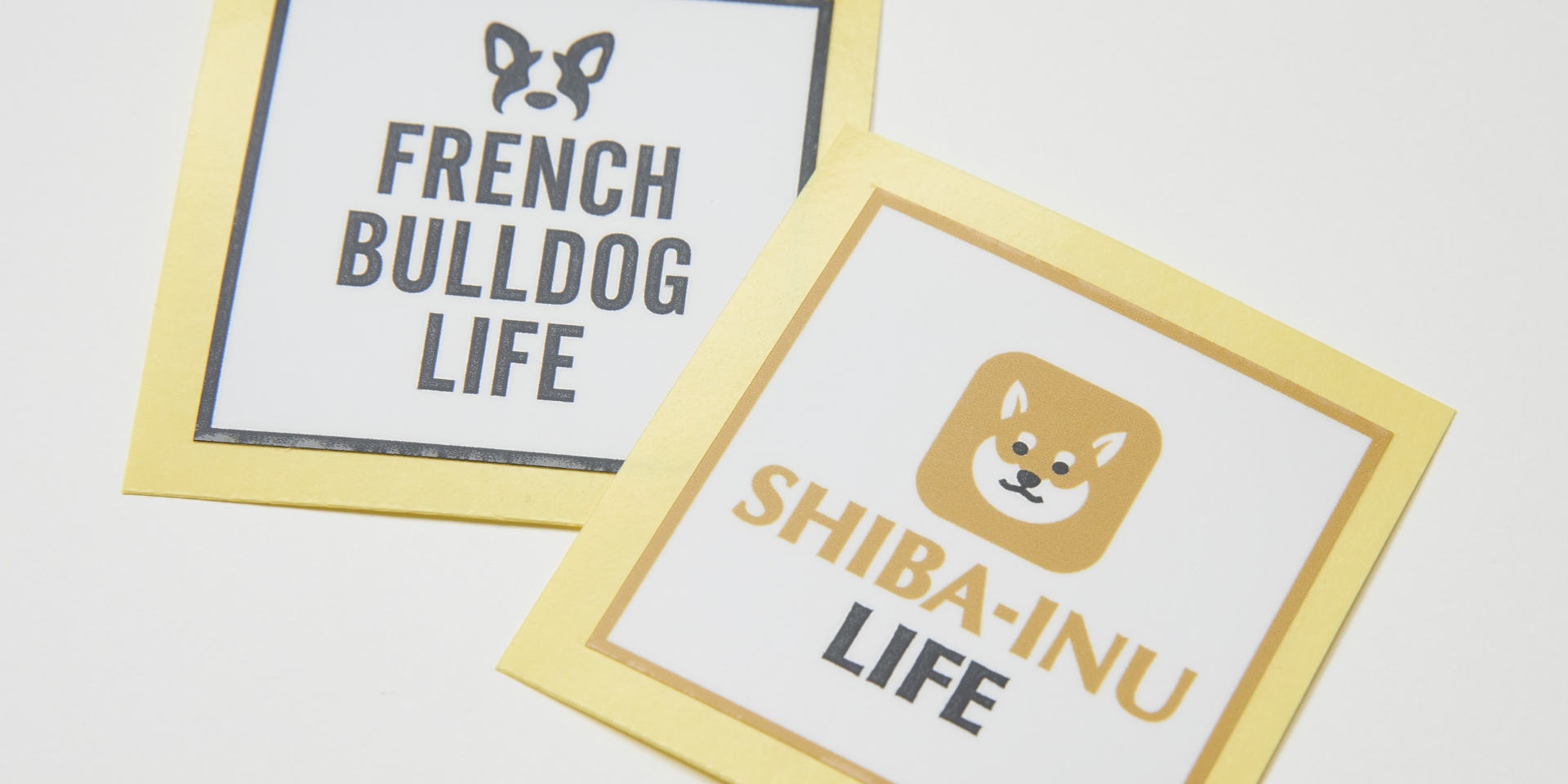 FRENCH BULLDOG LIFE