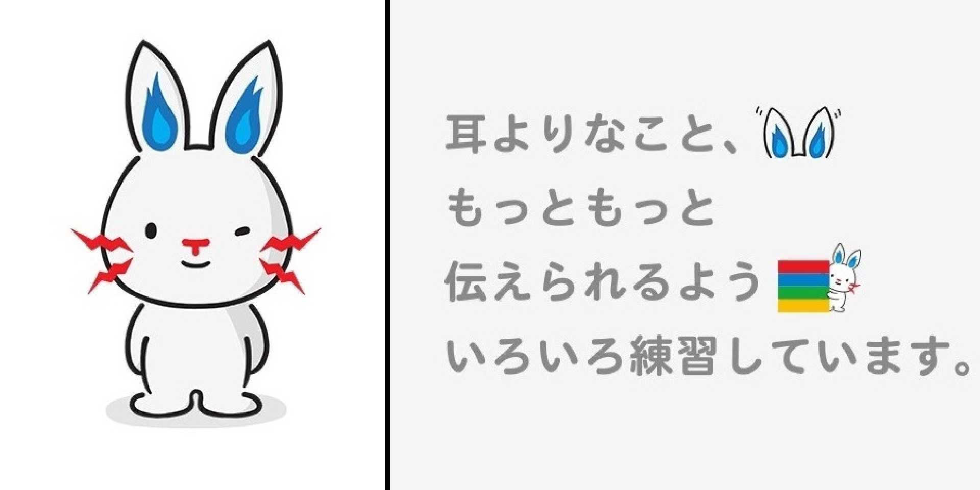 TEPCO テプコン