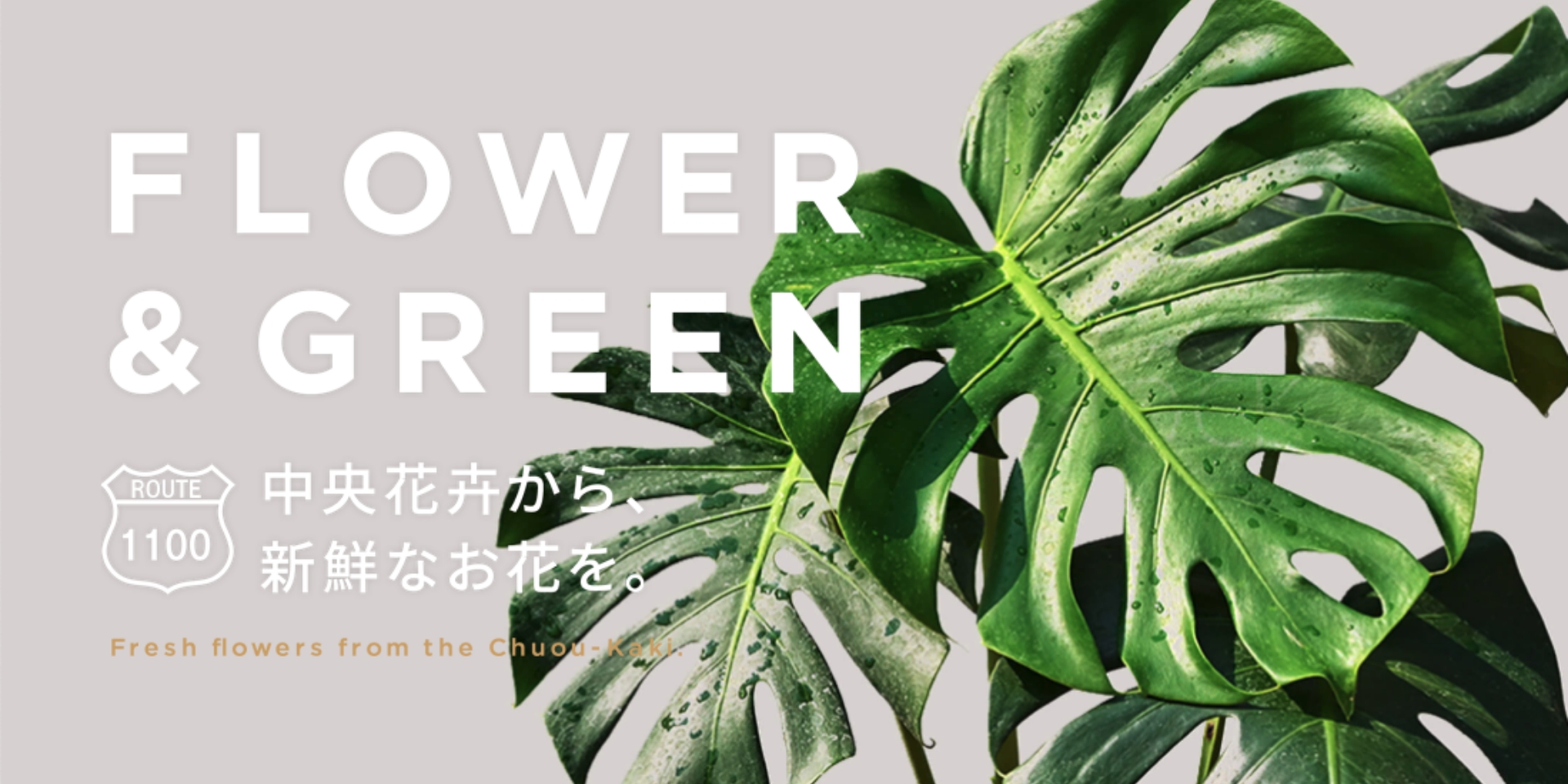 中央花卉