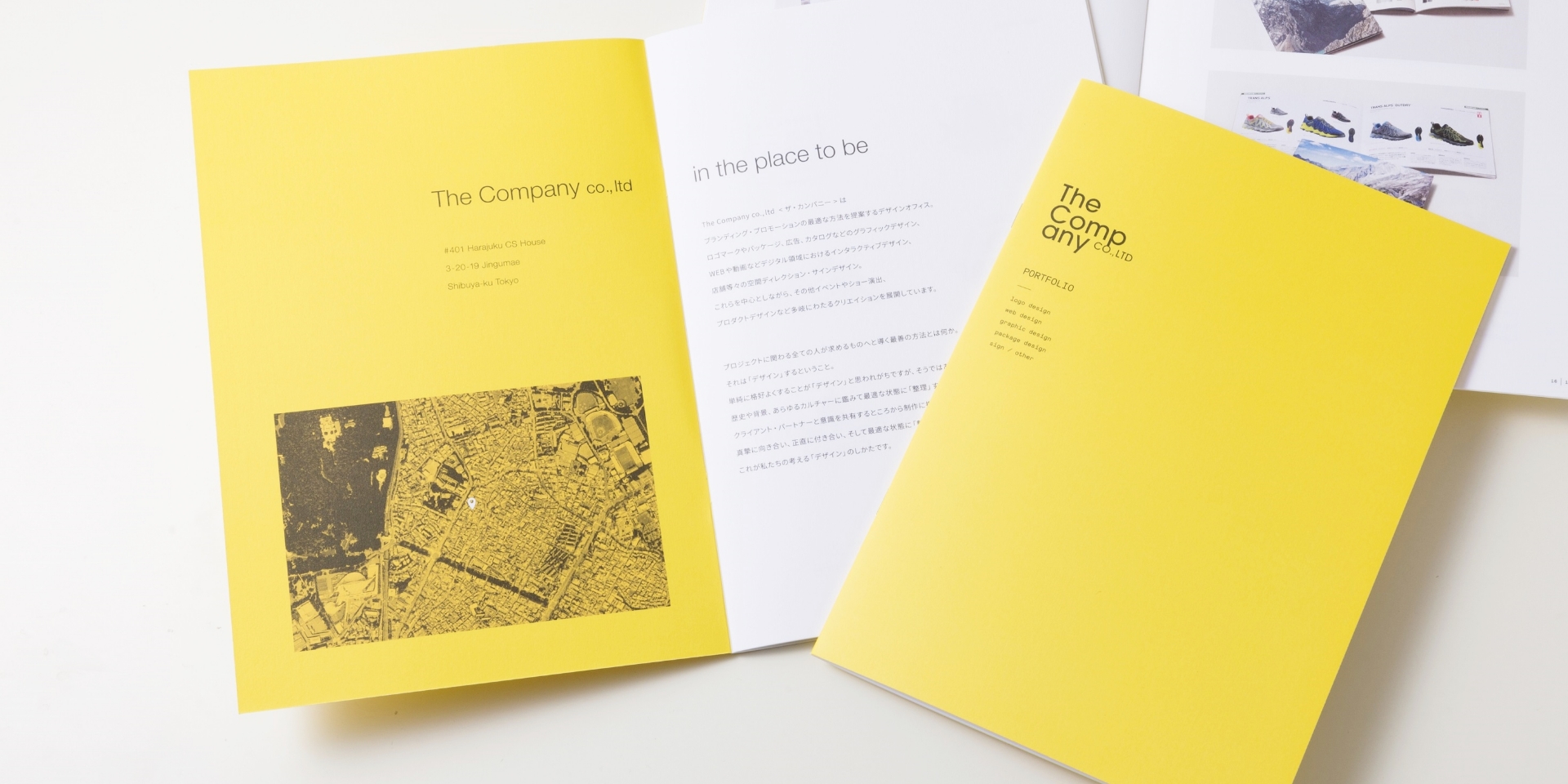 The Company