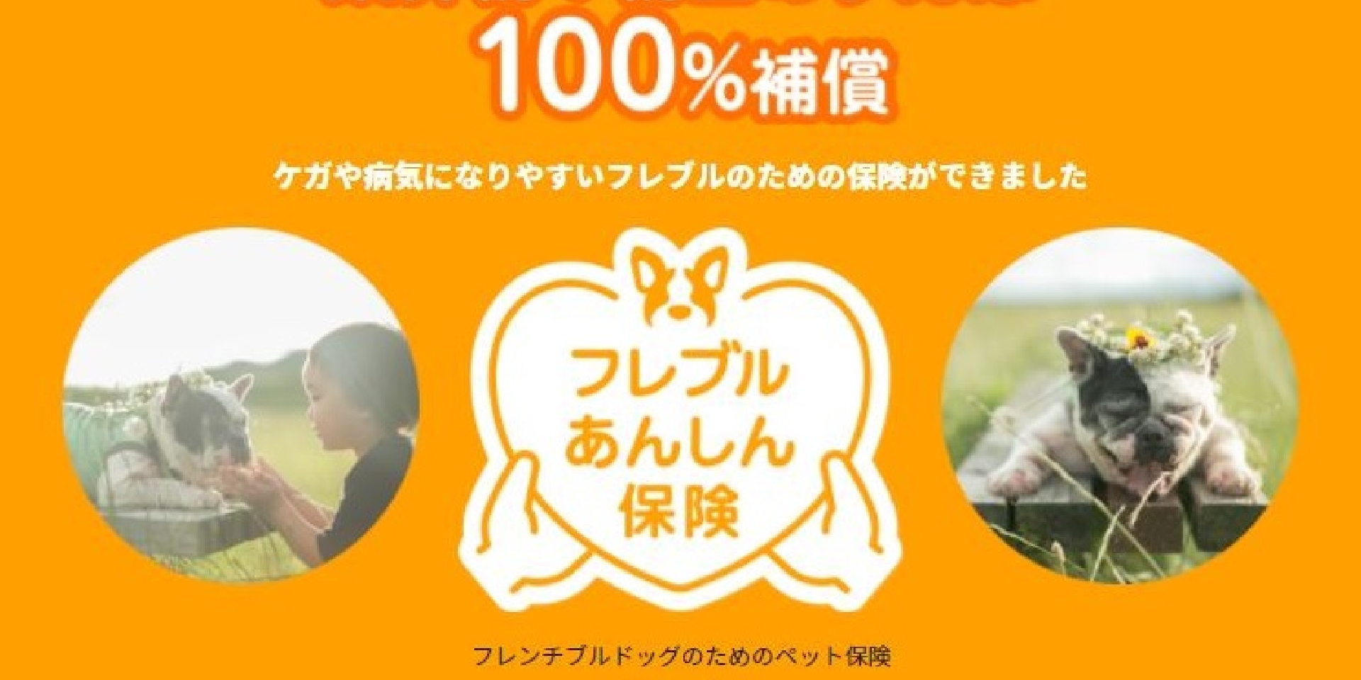 フレブルあんしん保険